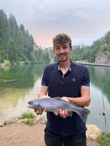 Rainbow Trout