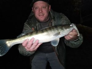 Zander