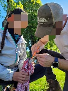 Rainbow Trout
