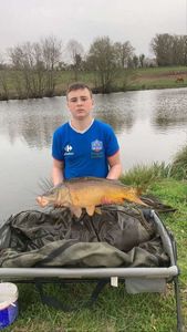 Mirror Carp