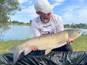 Grass Carp