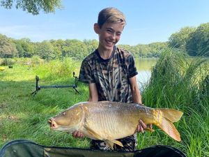 Mirror Carp