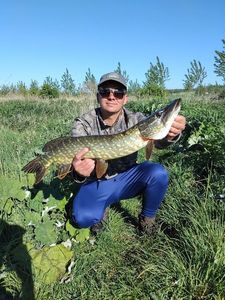 Northern Pike