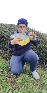 Asp