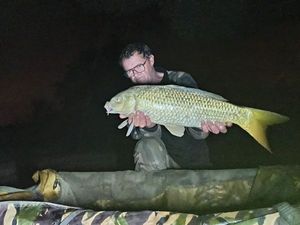 Common Carp