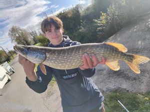 Northern Pike