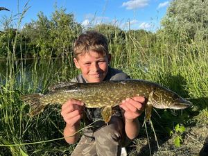 Northern Pike