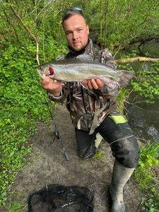 Brook Trout