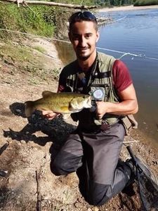 Largemouth Bass
