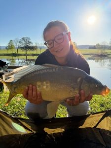 Mirror Carp