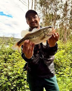 Largemouth Bass