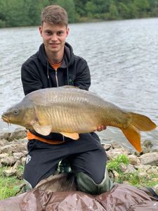 Mirror Carp