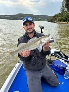 Zander