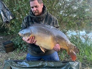 Mirror Carp