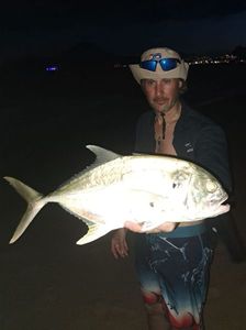 Crevalle Jack
