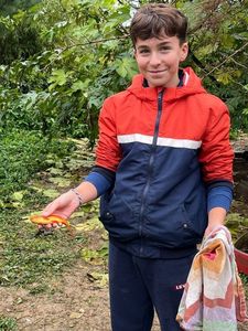 Poisson rouge