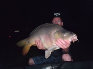 Mirror Carp