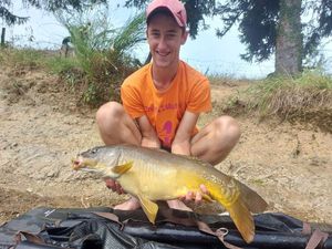 Mirror Carp