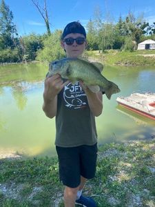 Largemouth Bass