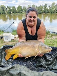 Mirror Carp