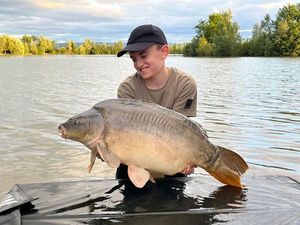 Mirror Carp