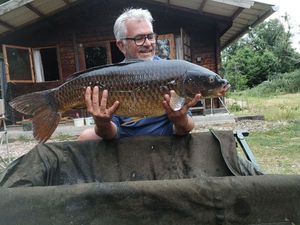 Common Carp