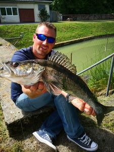 Zander