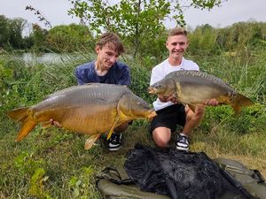 Mirror Carp