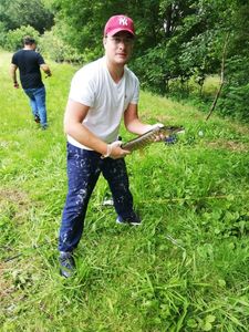 Northern Pike