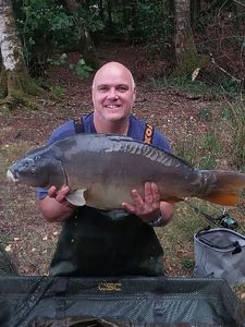 Mirror Carp