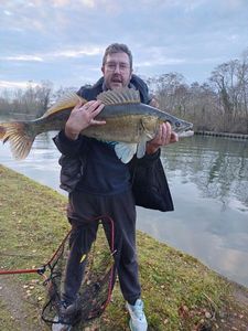 Zander