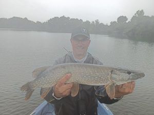 Northern Pike