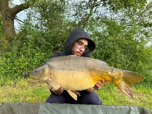 Mirror Carp