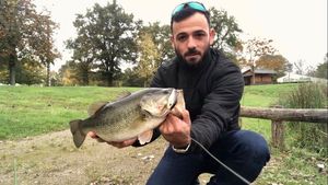 Largemouth Bass
