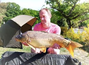 Mirror Carp