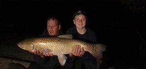 Grass Carp