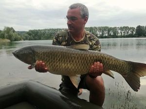 Grass Carp