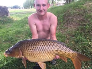 Common Carp