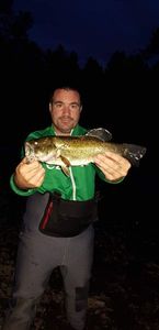 Largemouth Bass