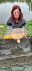 Mirror Carp