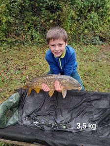 Mirror Carp