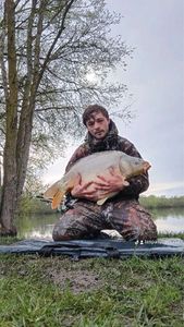 Leather Carp