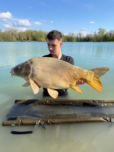 Leather Carp
