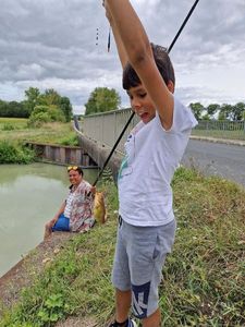 Black Bullhead