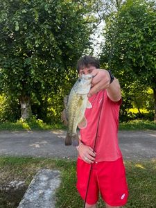 Largemouth Bass