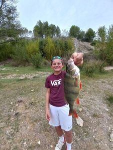 European Perch