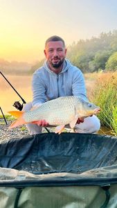 Common Carp