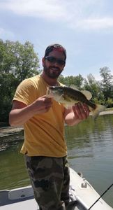 Largemouth Bass