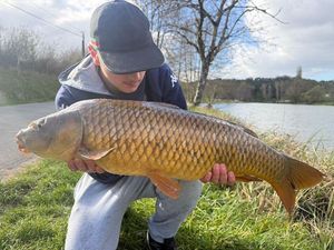 Common Carp
