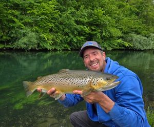 Brown Trout